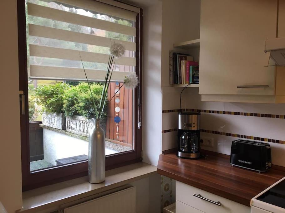 גמונד אם טגרנזה Wohnung Direkt Am Tegernsee Mit Xl-Terrasse מראה חיצוני תמונה